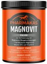 PHARMAKAS MAGNOVIT Pulver 1 kg