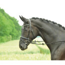BUSSE Trensenzaum Single-Soft mit engl. Reithalfter