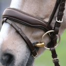 BUSSE Trensenzaum Comfort Plus