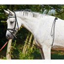 BUSSE Longierhilfe HO 4,50 m