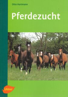Ulmer Pferdezucht