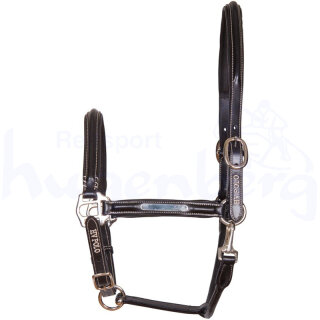 Horsecenter Pony-Lederhalfter schwarz