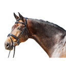 Euroriding Trensenzaum Bridle Softy schwed RH