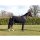 QHP Fleece Decke mit Ornament petrol 145 cm