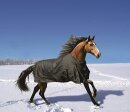 Euroriding Outdoordecke Fairbanks schwarz 600 D 400 g