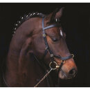 HORSEWARE Trensenzaum Micklem Multi